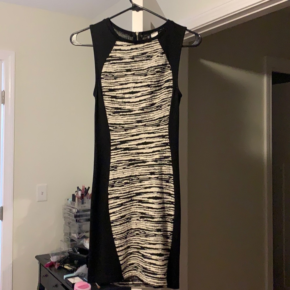 Zebra form fitting dress